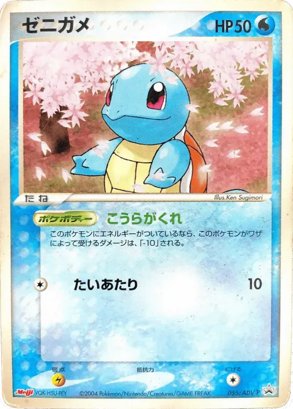 squirtle card pokemon Pokémon Fossil Display – Squirtle with Turtle Shell Fossil – The Smoky  Mountain Relic Room